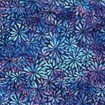 Y2709-424-Salvia <!DATE>