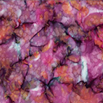 839-447-Sweetpea <!DATE>