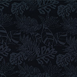 Y2691-494-Raven <!DATE>