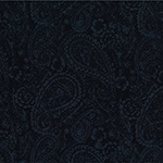 Y2703-494-Raven <!DATE>