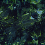 1384-216-Black Jade <!DATE>