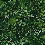 Y2699-69-Jungle <!DATE>