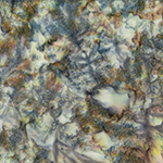 1384-227-Sprout <!DATE>