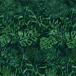 Y2691-433-Bonsai <!DATE>