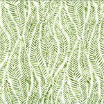 Y2695-539-Parsley <!DATE>