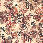 Y2700-646-Canyon <!DATE>