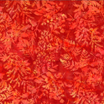 Y2700-469-Nasturtium <!DATE>