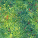 Y2693-115-Grass <!DATE>