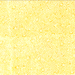 Y2693-149-Sun <!DATE>