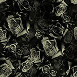 Y5855-213-Onyx <!DATE>