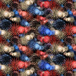 Y5858-159-Americana <!DATE>