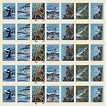 Y5870-20-Natural <!DATE>