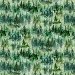 Y5836-220-Fern <!DATE>