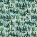 Y5836-44-Forest <!DATE>