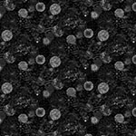 Y5877-4-Black <!DATE>