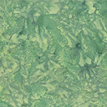 1895-548-Balsam <!DATE>