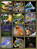 X5685-170-Meadow <!DATE>