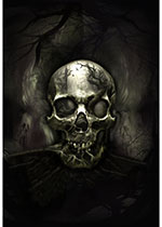 Y5852-494-Raven <!DATE>