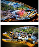 Y5832-311-Lake <!DATE>