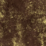 W5363-540G-Woodstock-Gold <!DATE>