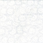 Y2721-521-Mist <!DATE>