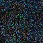 Y2722-585-Glalaxy <!DATE>