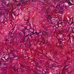 Y2728-706-Bougainvellia <!DATE>