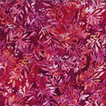 Y2729-706-Bougainvellia <!DATE>