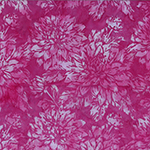 Y2711-757-Razzmatazz <!DATE>