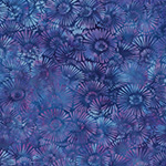 Y2721-229-Wisteria <!DATE>