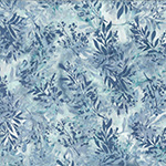 Y2729-288-Clouds <!DATE>