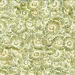 Y2721-580-Cypress <!DATE>