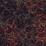 Y2721-533-Nightshade <!DATE>
