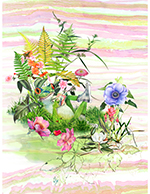 Y5918-303-Frog <!DATE>