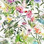 Y5919-553-Rainforest <!DATE>