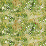 Y5895-115-Grass <!DATE>