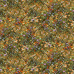 Y5938-694-Wild-Flower <!DATE>