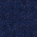 Z7823-19S-Navy-Silver <!DATE>