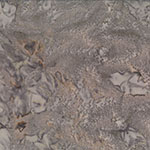 1895-723-Cottage <!DATE>