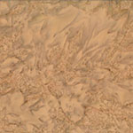 1895-746-Sandalwood <!DATE>