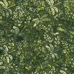 MR66-178-Leaf <!DATE>