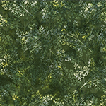 MR70-178-Leaf <!DATE>