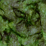 839-331-Herb <!DATE>