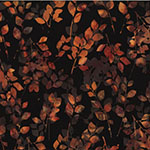 W2585-160-Spice <!DATE>