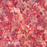 W2585-219-Carnation <!DATE>