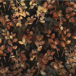 W2585-51-Chestnut <!DATE>