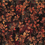 W2585-533-Nightshade <!DATE>