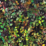 W2585-540-Woodstock <!DATE>