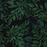 X2646-215-Black Jade <!DATE>