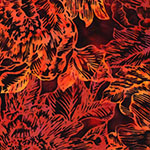 X2653-310-Fire <!DATE>